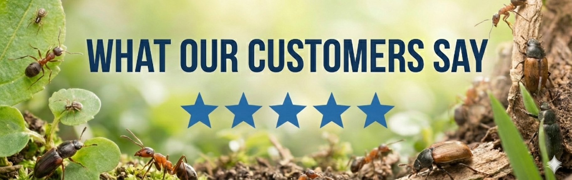 Read what our customers have to say about Target Pest Control with 5 star reviews